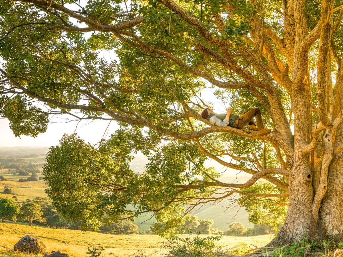 Großer Baum, auf dem sich eine Person ausruht - symbolisiert Leichtigkeit statt Leistungsdruck